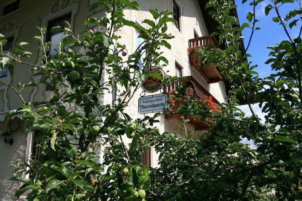 Landgasthof Auerschmiede ارشنبرغ المظهر الخارجي الصورة